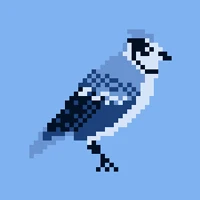 svntax-dev